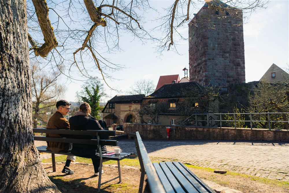 Burg Rothenfels entdecken