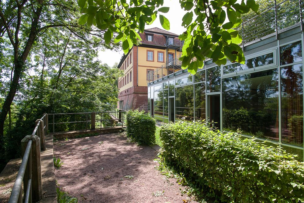 Außenansicht der Fensterfront vom Tagungsraum A300