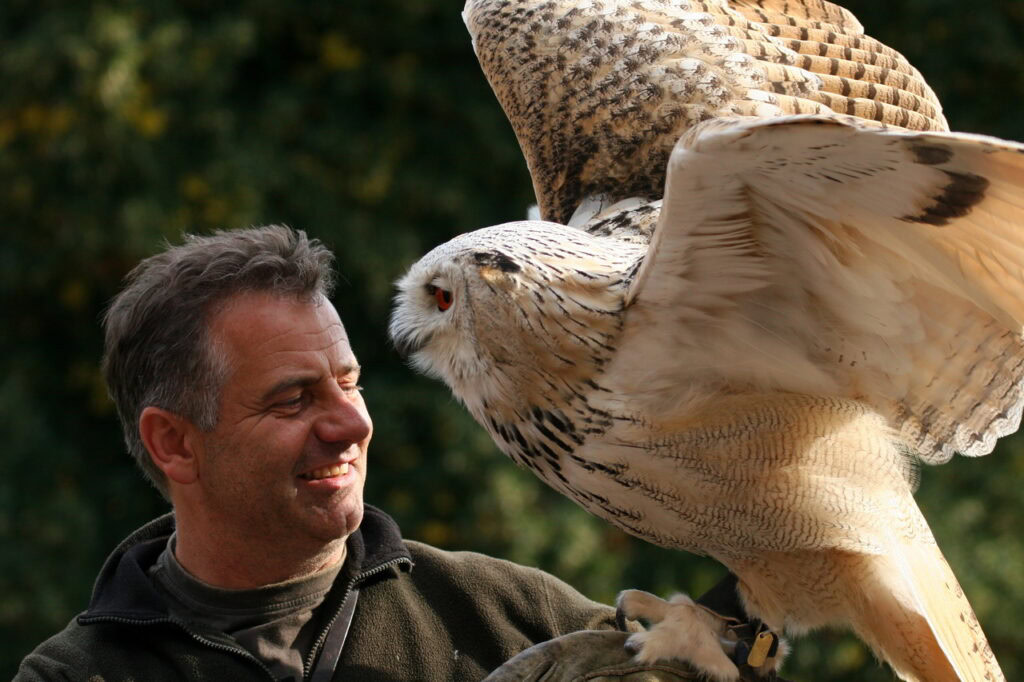 Falkner mit einer weißen Schleiereule auf dem Arm