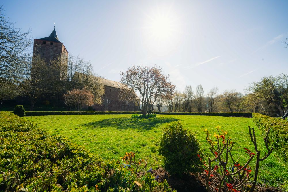 Barockgarten mit Burg Rothenfels im Hintergrund
