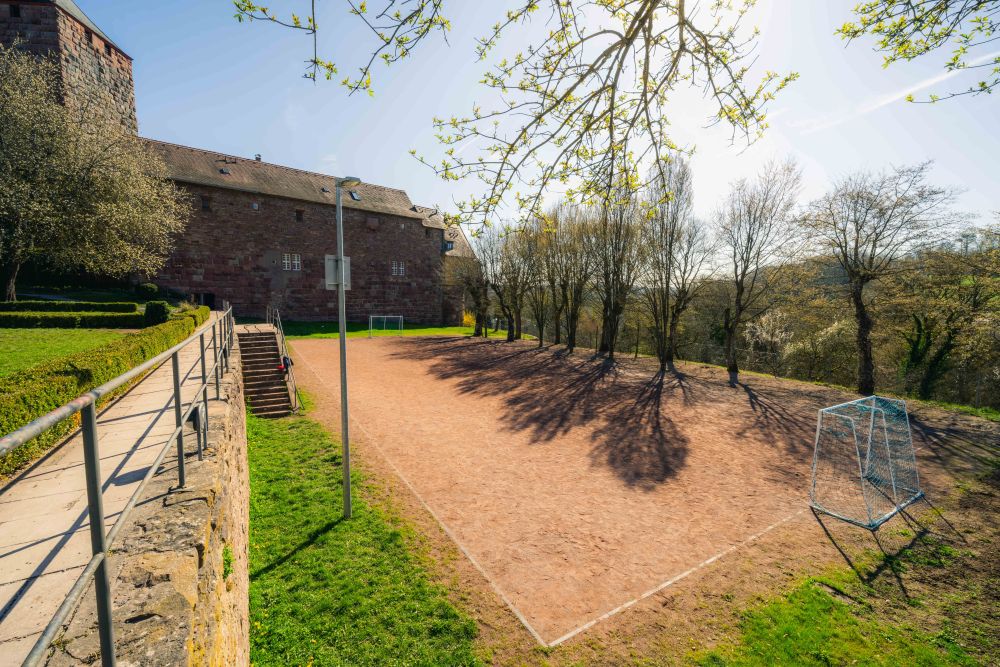 Sportplatz mit Burg Rothenfels im Hintergrund